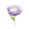 Sizzix Thinlits Dies By Jennifer Ogborn 5/Pkg - Spring Bloom