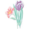 Sizzix Thinlits Dies By Lisa Jones 11/Pkg - Layered Spring Flowers