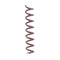 We R Memory Keepers - The Cinch Spiral Binding Wire - 1in - Bark