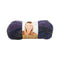 Lion Brand Vanna's Choice Yarn - Purple Print