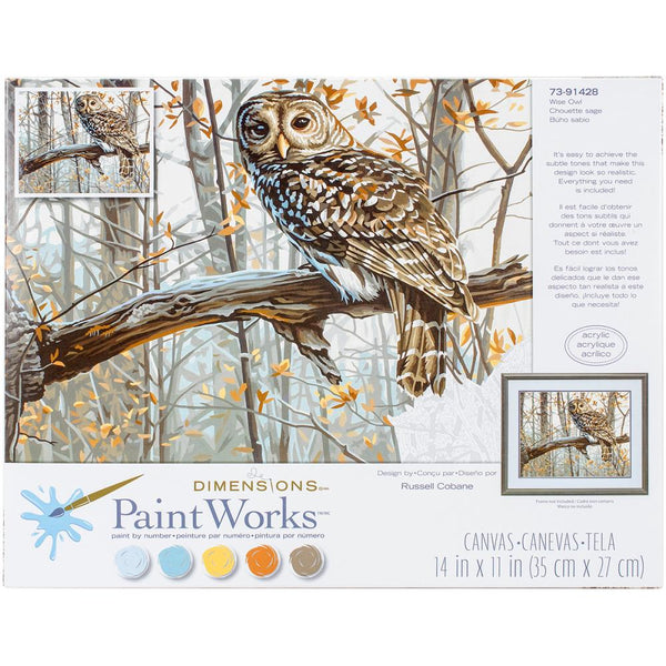 Paint Works Paint By Number Kit 14"x 11" - Wise Owl