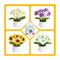 Poppy Crafts Learn to Crochet Kit  #9 - Potted Daisy
