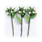 Little Birdie Berry Branch 3 pack  - Shabby Chic*