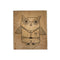 Hero Arts Woodblock Stamp - Boy Owl*