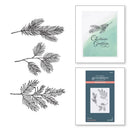 Spellbinders BetterPress Letterpress System Press Plate Evergreen Branches