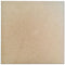 Little Birdie MDF Square 12" 12"