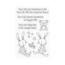 My Favorite Things Clear Stamps 4"X6" - Favourite Somebunny*