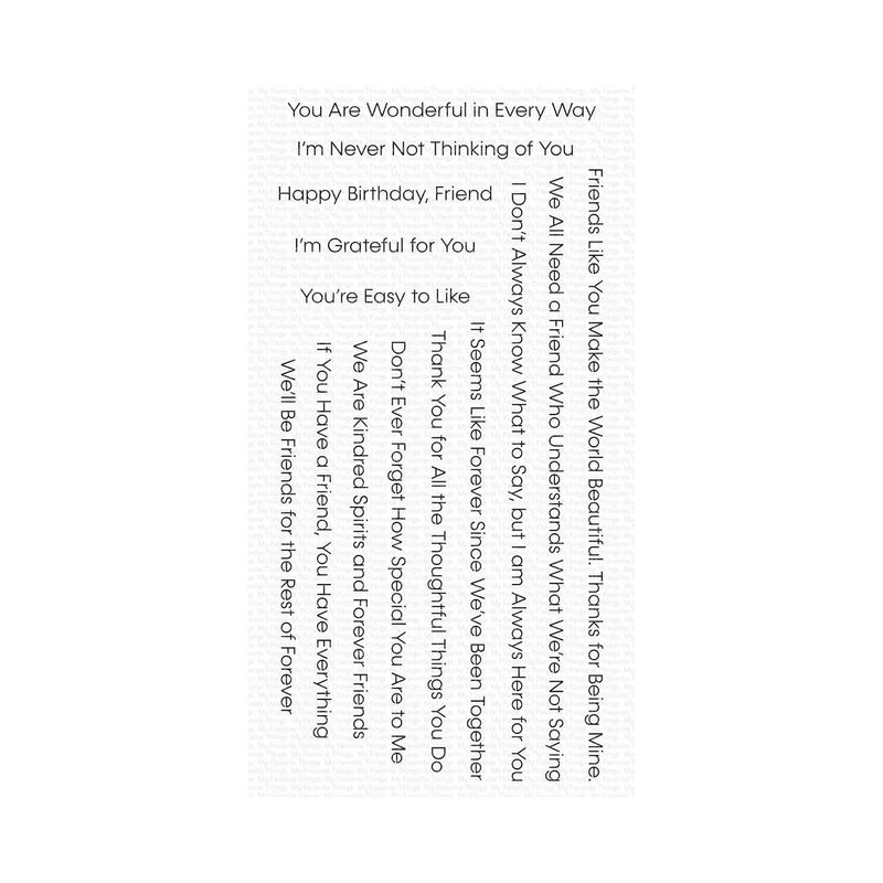 My Favorite Things Clear Stamps 4"X8" - Friends Like You