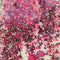 Cosmic Shimmer Pixie Burst 25ml - Very Berry*