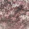 Cosmic Shimmer Pixie Burst 25ml - Black Cherry