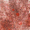 Cosmic Shimmer Pixie Burst 25ml - Rusty Red*