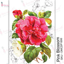 Dress My Craft Transfer Me Sheet A4 - Pink Blossom*