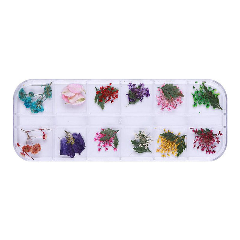 Poppy Crafts Dried Flowers Kit