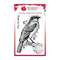 Woodware Clear Stamp 3"x 4" - Bluebird