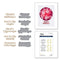 Spellbinders Glimmer Hot Foil Plate & Die By Simon Hurley - Joyful Christmas - Sentiments