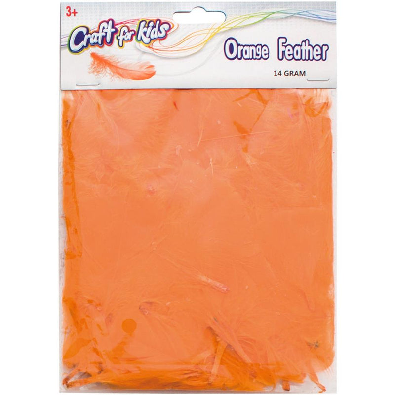 Crafts For Kids - Turkey Feathers 14g - Orange