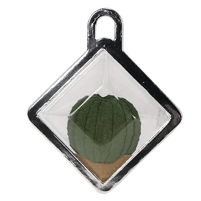 i-crafter Dies - Mini Succulent Terrarium*