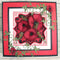 Crafts Too - John Next Door Die Set - Oakham Lattice*
