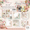 Asuka Studio Double-Sided Paper Pack 6"X6" 24 pack  Beary Sweet