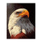 Poppy Crafts Paint By Numbers 16x20inch - Bald Eagle