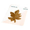 Pinkfresh Studio Hot Foil Plate Detailed Leaf