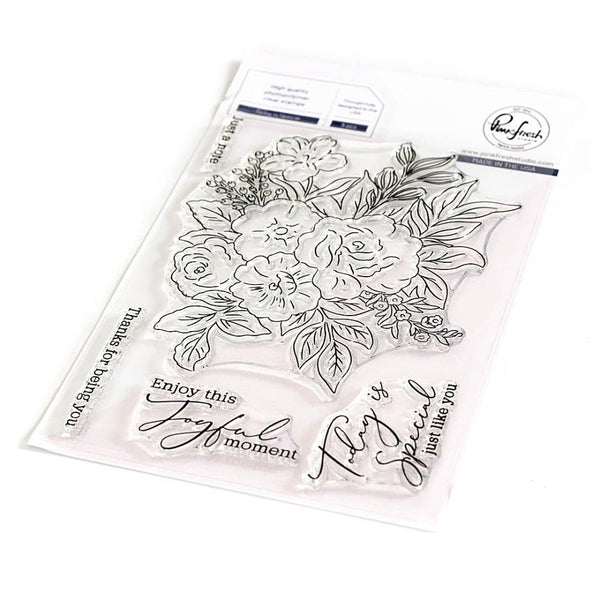 Pinkfresh Studio Clear Stamp Set 4"x 6"- Today Is Special
