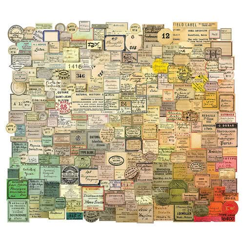 Tim Holtz Idea-Ology Ephemera Snippets 233 pack - Curator