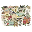 Tim Holtz Idea-Ology Layers Die-Cuts (45-pack) - Organic