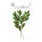 Prima Marketing Mulberry Paper Flowers - Mistletoe Kisses/Candy Cane Lane