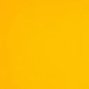 ColorPlan 100lb Cover Solid Cardstock 12in x 12in 10 pack - Citrine*