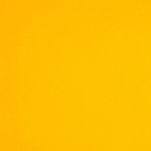 ColorPlan 100lb Cover Solid Cardstock 12in x 12in 10 pack - Citrine*