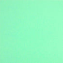 ColorPlan 100lb Cover Solid Cardstock 12in x 12in 10 pack - Park Green