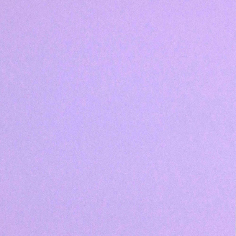 ColorPlan 100lb Cover Solid Cardstock 12in x 12in  10 pack  Lavender