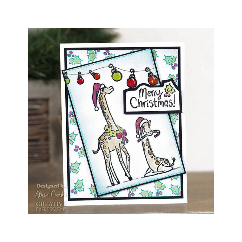Creative Expressions Designer Boutique Collection - A6 Stamp Set - Giraffe Greetings*