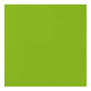 American Crafts 12Inx12in Textured Cardstock - Cricket  - Single Sheet