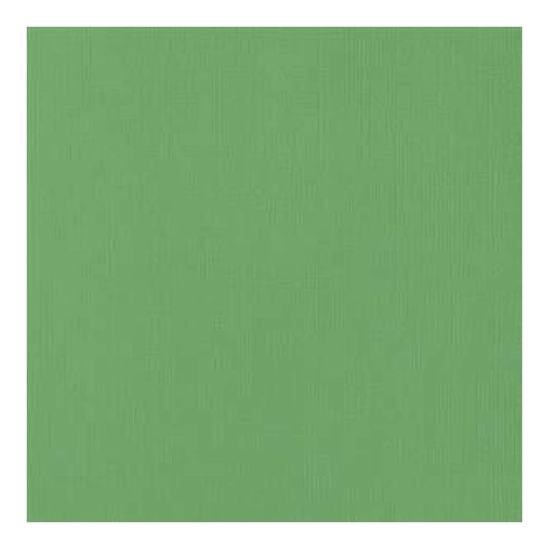American Crafts 12Inx12in Textured Cardstock - Moss  - Single Sheet