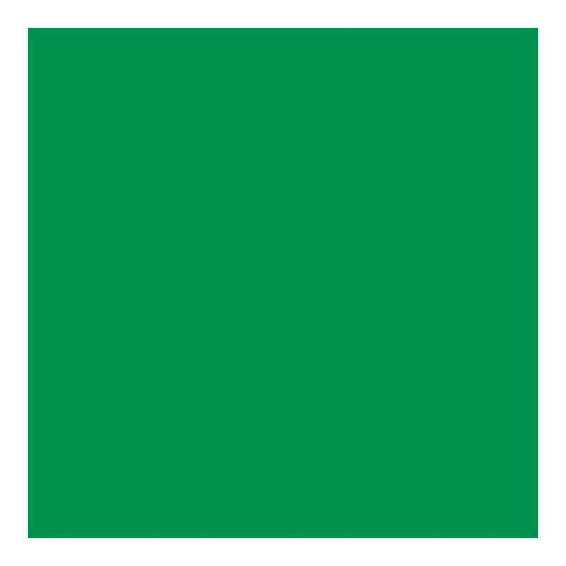 DecoArt - Stylin Paint 2oz - Green*