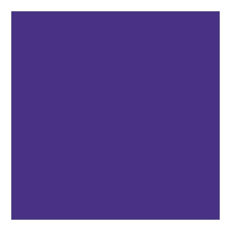 DecoArt - Stylin Paint 2oz - Purple^