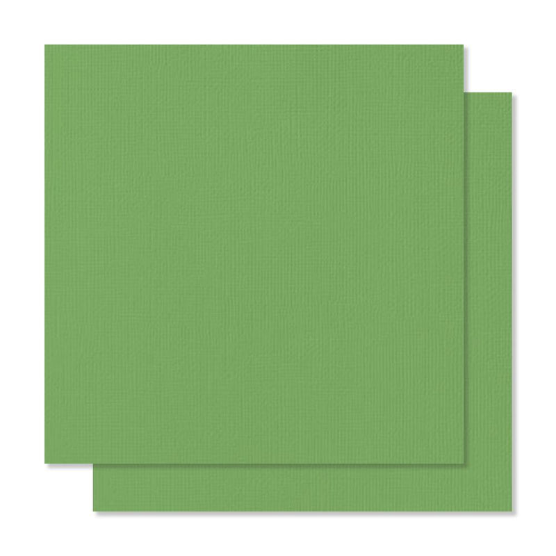 American Crafts 12In x 12in Textured Cardstock - Grass - Single Sheet