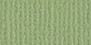 Bazzill Mono Cardstock 12in x 12in - Pear*