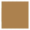 Bazzill Classic Cardstock 12 Inch X12 Inch  Dark Kraft