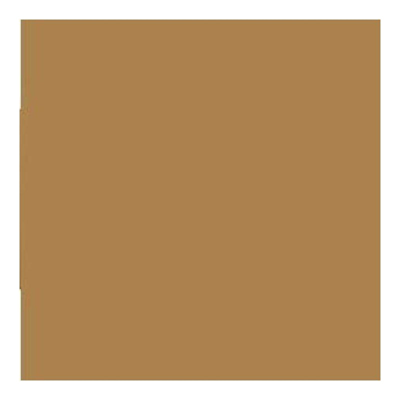 Bazzill Classic Cardstock 12 Inch X12 Inch  Dark Kraft