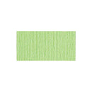 Bazzill - Bling Cardstock 12inch X12inch - Petty Cash - 80lb cardstock