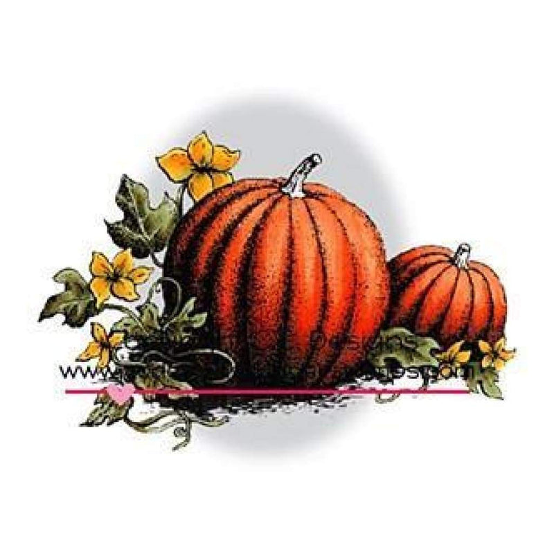C.C. Designs - Doveart Cling Stamp 4X2.5 Pumpkin Patch