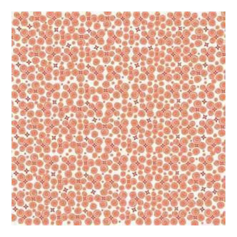 Carolees Creations - Swirly Wishes 12X12 Paper (Pack Of 10)