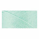Caron Simply Soft Solids Yarn - Soft Green - (142 grams) 250 yards