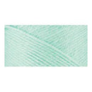 Caron Simply Soft Solids Yarn - Soft Green - (142 grams) 250 yards