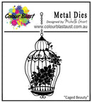Colour Blast - Star Dust Collection Die - Caged Beauty