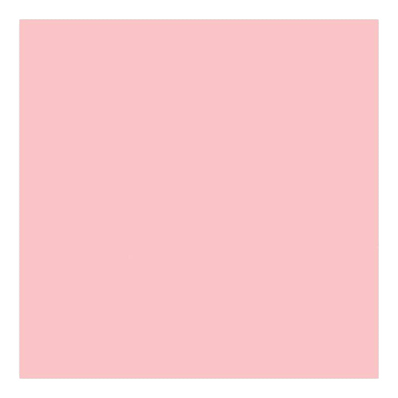 Claudine Hellmuth Studio Paint - Painterly Pink *