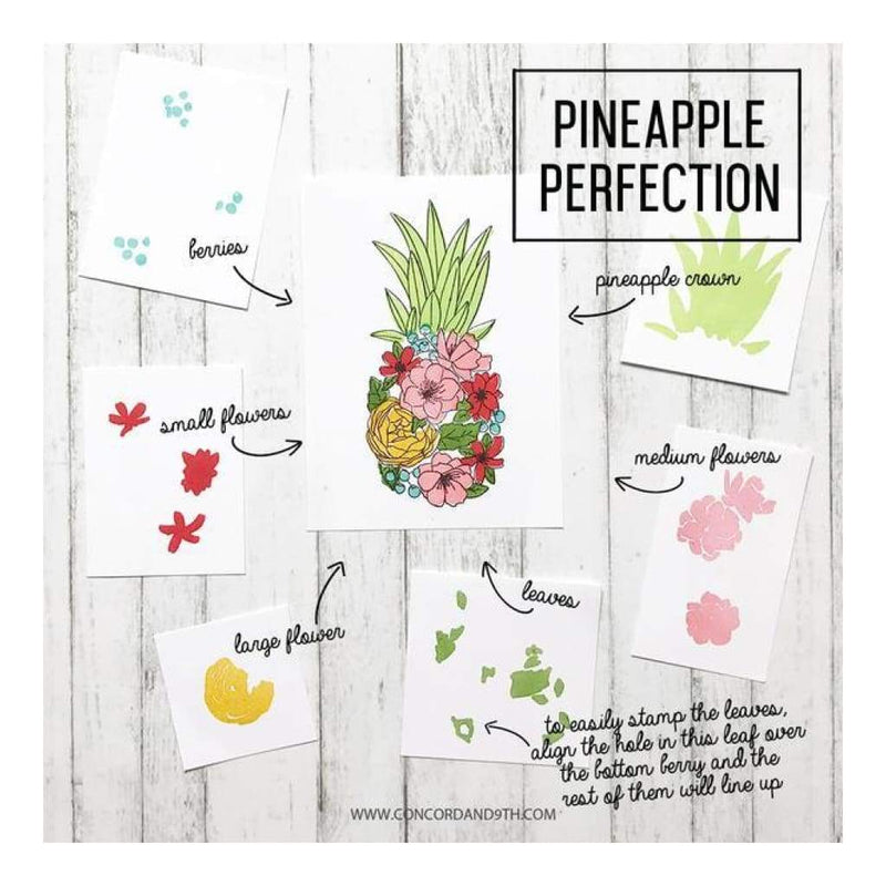 Concord & 9th Clear Stamps 6 inch X8 inch Pineapple Perfection